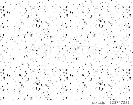 黒のインクを飛び散らせたような点描モノクロ背景 黒のインクを飛び散らせたような点描モノクロ背景 123747281