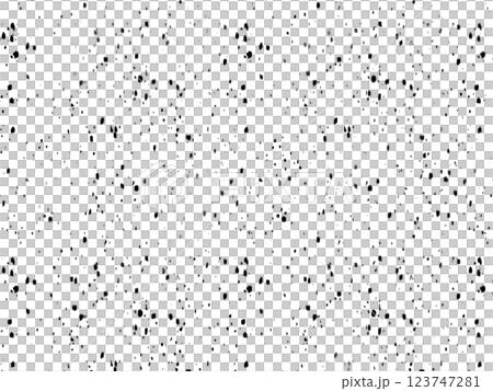 黒のインクを飛び散らせたような点描モノクロ背景 黒のインクを飛び散らせたような点描モノクロ背景 123747281