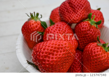 いちご狩り さぬきひめ イチゴ山盛り 小豆島 いちご狩り さぬきひめ イチゴ山盛り 小豆島 123747340