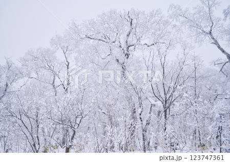 オロフレ峠（冬） 123747361