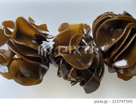 白バックの3個並んだ三陸産めかぶ 123747505