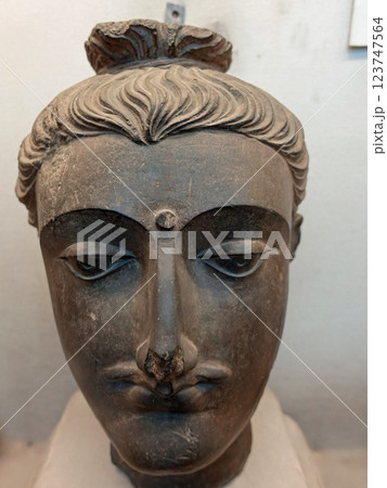 パキスタンのラホール博物館に展示されるガンダーラの仏頭 123747564