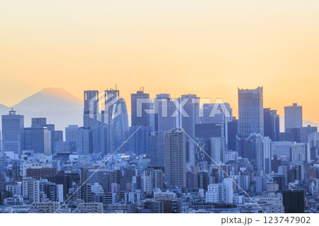 富士山と東京(新宿)の夕景/夜景のコラボレーション 123747902