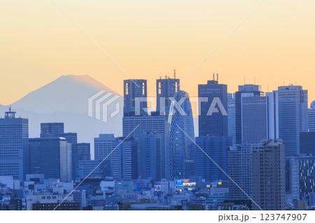 富士山と東京(新宿)の夕景/夜景のコラボレーション 123747907