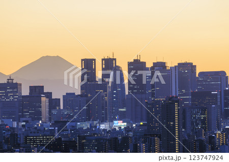 富士山と東京(新宿)の夕景/夜景のコラボレーション 123747924