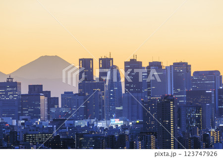 富士山と東京(新宿)の夕景/夜景のコラボレーション 123747926