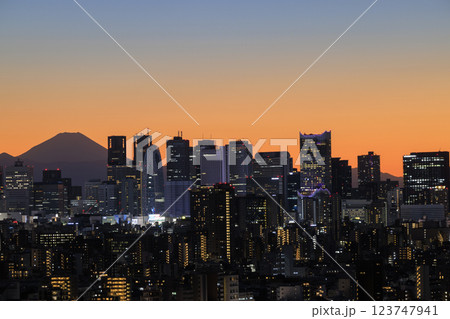 富士山と東京(新宿)の夕景/夜景のコラボレーション 123747941