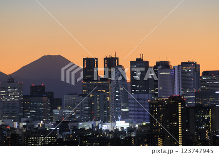 富士山と東京(新宿)の夕景/夜景のコラボレーション 123747945
