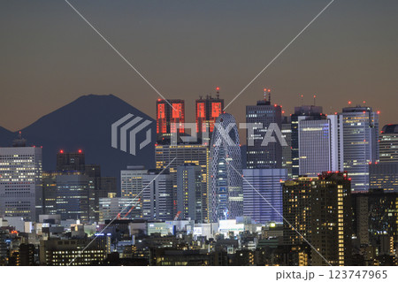 富士山と東京(新宿)の夕景/夜景のコラボレーション 123747965