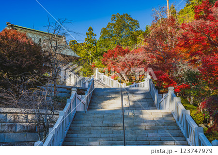 袋井市にある法多山尊永寺の秋の紅葉に染まる階段の風景(静岡県) 123747979