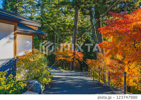 袋井市にある法多山尊永寺の紅葉に包まれた参道の風景(静岡県) 123747980