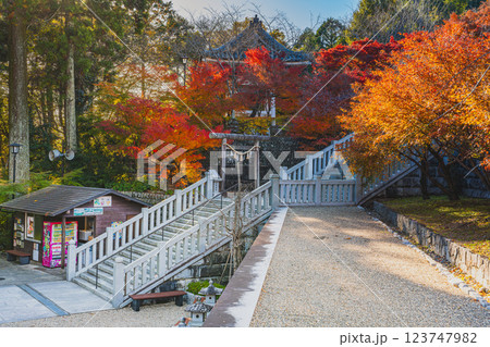袋井市にある法多山尊永寺の秋の紅葉に染まる階段の風景(静岡県) 123747982