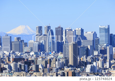 富士山と東京(新宿)の都市景観とのコラボレーション 123748024