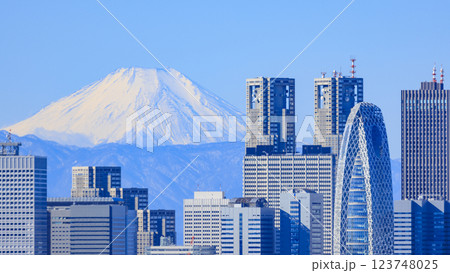 富士山と東京(新宿)の都市景観とのコラボレーション 123748025