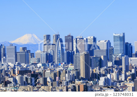 富士山と東京(新宿)の都市景観とのコラボレーション 123748031