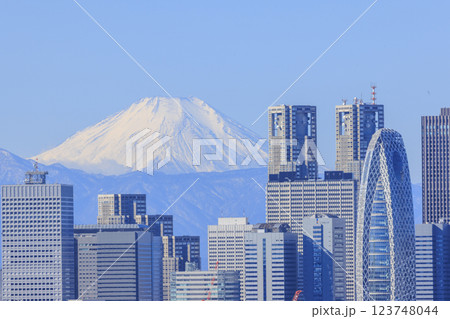 富士山と東京(新宿)の都市景観とのコラボレーション 123748044