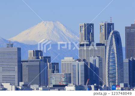 富士山と東京(新宿)の都市景観とのコラボレーション 123748049