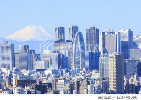 富士山と東京(新宿)の都市景観とのコラボレーション 123748060