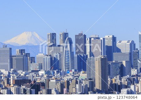 富士山と東京(新宿)の都市景観とのコラボレーション 123748064