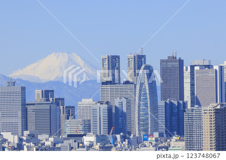 富士山と東京(新宿)の都市景観とのコラボレーション 富士山と東京(新宿)の都市景観とのコラボレーション 123748067