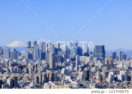 富士山と東京(新宿)の都市景観とのコラボレーション 123748070