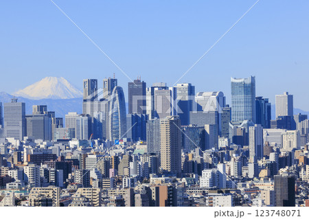富士山と東京(新宿)の都市景観とのコラボレーション 123748071
