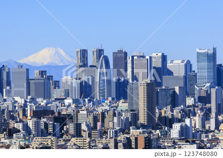 富士山と東京(新宿)の都市景観とのコラボレーション 123748080