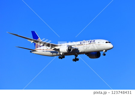 【千葉県】成田空港に着陸するジェット機(ユナイテッド航空 ボーイング787) 【千葉県】成田空港に着陸するジェット機(ユナイテッド航空 ボーイング787) 123748431