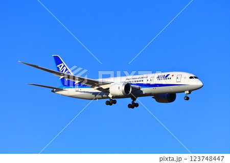 【千葉県】成田空港に着陸するジェット機(ANA ボーイング787) 【千葉県】成田空港に着陸するジェット機(ANA ボーイング787) 123748447