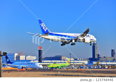 【千葉県】成田空港に着陸するジェット機（ANA　ボーイング787） 123748448