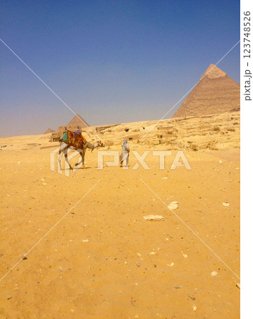 ピラミッドとラクダ ピラミッドとラクダ 123748526