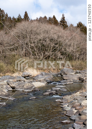 冬の栃木県那珂川上流の風景 123748550