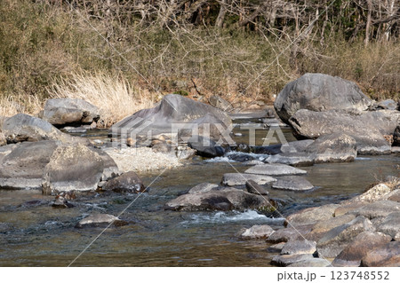 冬の栃木県那珂川上流の風景 123748552
