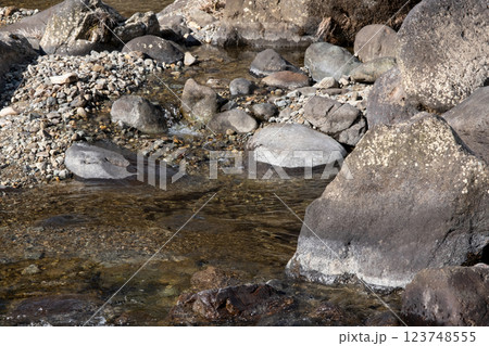冬の栃木県那珂川上流の風景 123748555