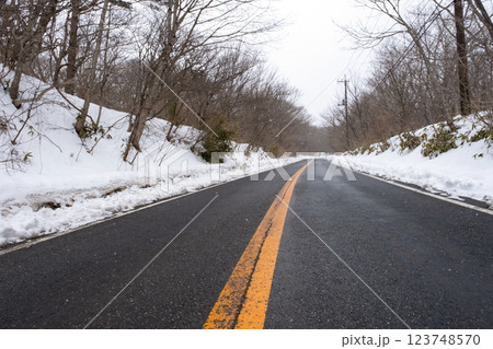 雪が降る車道の風景 雪が降る車道の風景 123748570