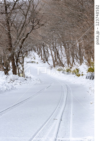 雪が降って雪に覆われた道路 雪が降って雪に覆われた道路 123748582