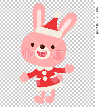 Cute rabbit Santa Claus Christmas 123748630