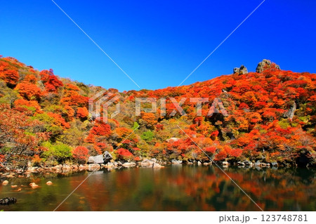 秋の大船山御池（くじゅう連山・竹田市久住町） 123748781