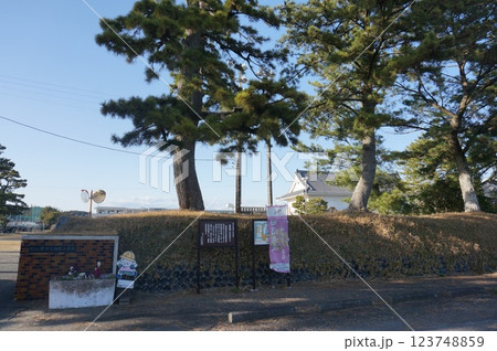 相良城二の丸のマツ 123748859