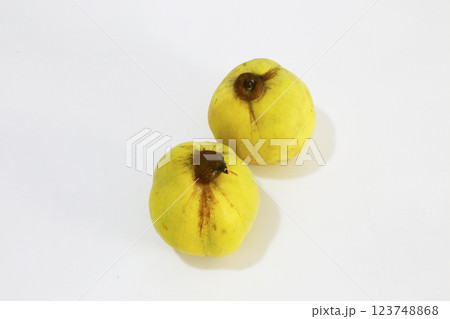 花梨（かりん）の果実 白バックにて撮影 123748868