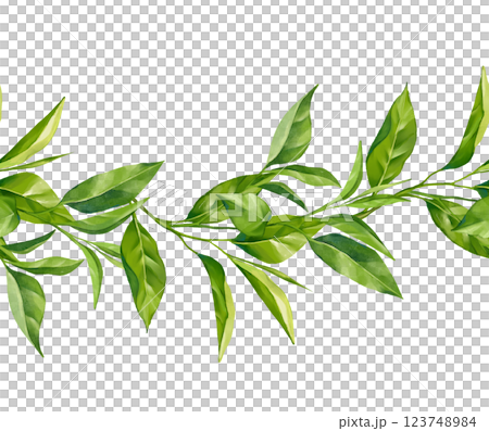 Seamless border with tea branches. Floral garland of tea. Design and decoration of tea packaging, green, black, oolong tea 123748984