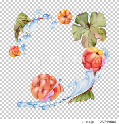 Cloudberry raspberry flying in water splash wave, green leaves and drops, hand drawn in watercolor, ripe summer forest berry. Isolated illustration, for restaurant, cafe menu, wedding, farmers market Cloudberry raspberry flying in water splash wave, green leaves and drops, hand drawn in watercolor, ripe summer forest berry. Isolated illustration, for restaurant, cafe menu, wedding, farmers market 123749608