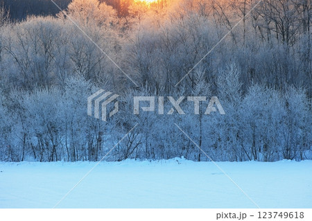 霧氷する木々 123749618