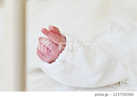 新生児の小さな手　赤ちゃんの手　小さな手　イメージ素材 123750300