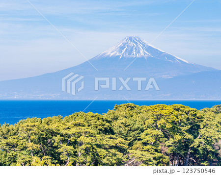 【静岡県】西伊豆戸田・御浜岬越しに富士山 【静岡県】西伊豆戸田・御浜岬越しに富士山 123750546