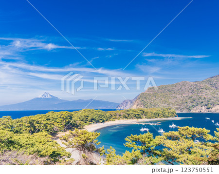 【静岡県】西伊豆戸田・御浜岬越しに富士山 123750551