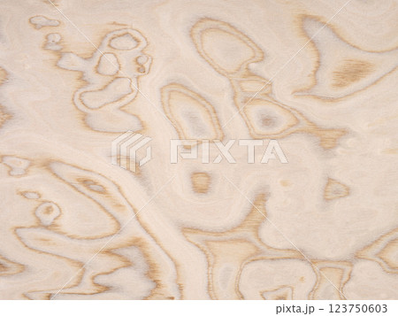 Plywood veneer displaying abstract organic shapes with a soft gradient of creamy to light brown tones 123750603