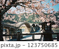 桜に彩られた錦帯橋 123750685