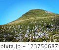 登山道から見上げるカルスト台地 123750687