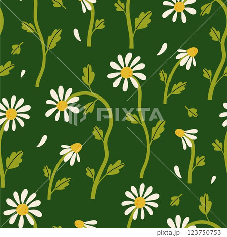 Simple seamless pattern with daisies on a dark green background. Vector graphics. 123750753